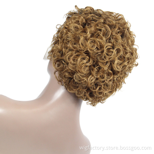 Wholesale machine made pixie curly short wigs, #30 T lace line 100 virgin human short hair wigs, short human hair wigs